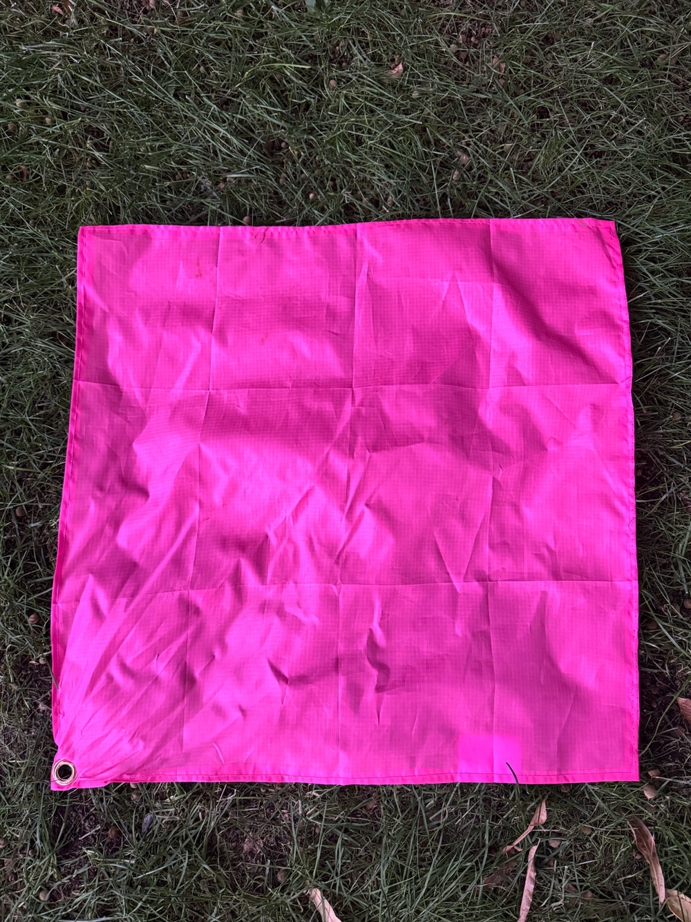 Horsemanship Training Flag, Ripstop Nylon, 20" x 20"-Hooves Western Group Pink